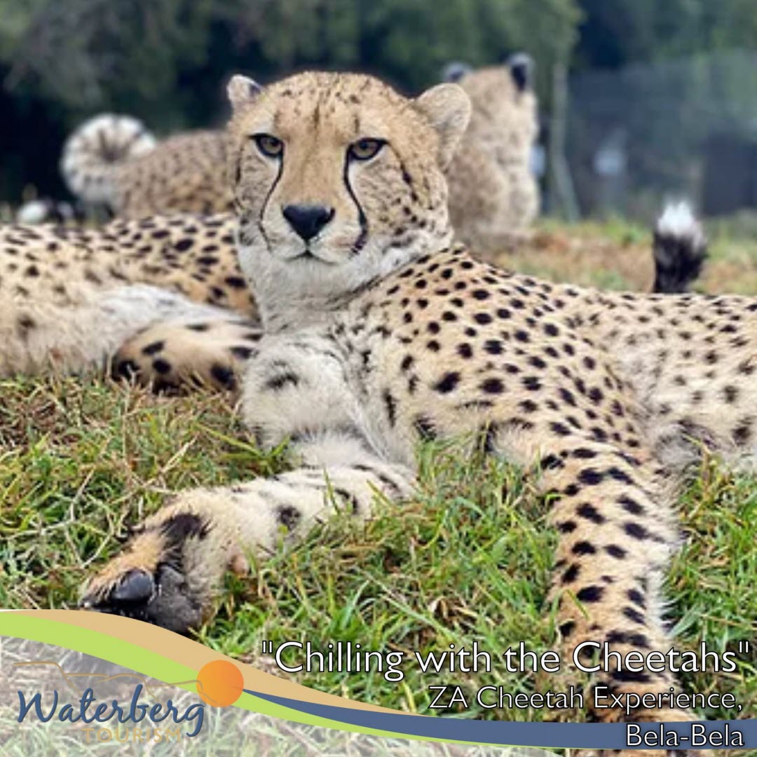 Waterberg Images #10