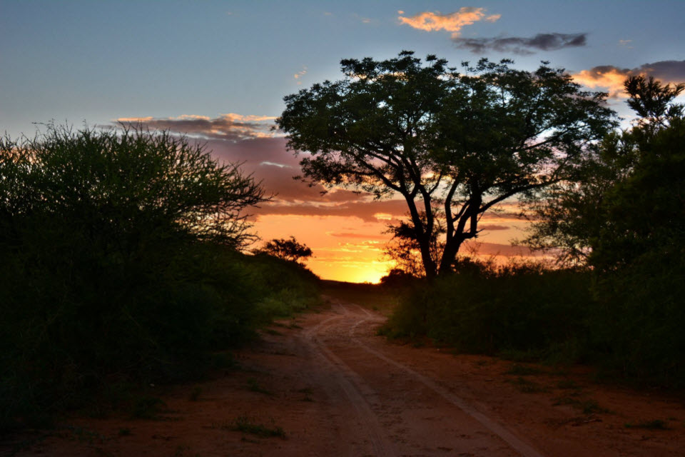 dirt road
